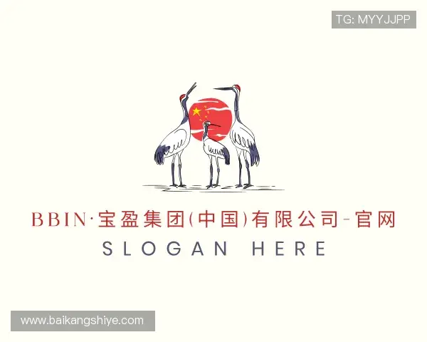 解读bbin宝盈集团官网